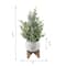 16" Unlit Frosted Artificial Christmas Tree in Staghead Ceramic Pot on Wood Stand